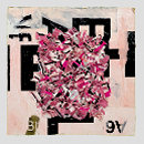 Pavo paper collage on canvas, 'Pavo'